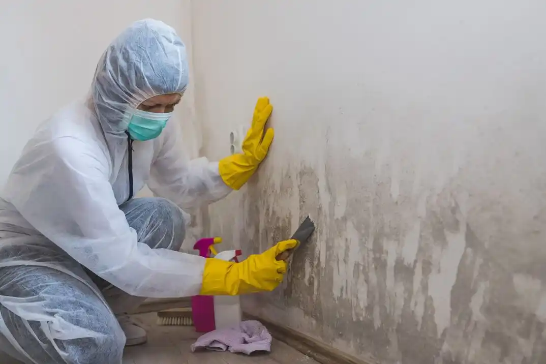 water damage restoration service Shepard